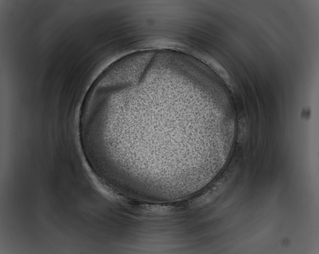 X0000100781039200807171437