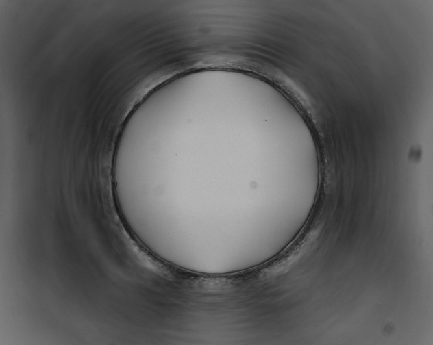 X0000100781041200807171437