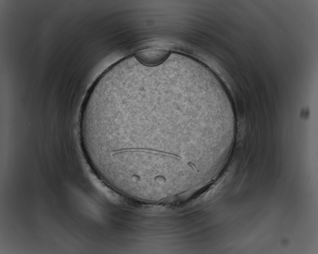 X0000100781042200807171437