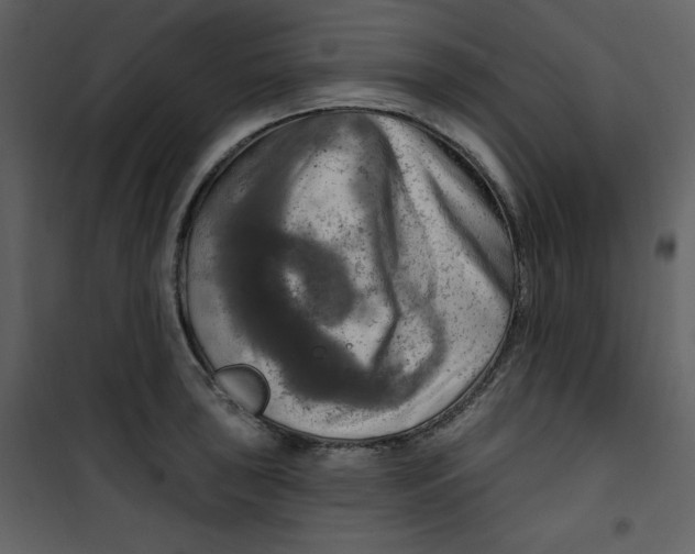 X0000100781043200807171437