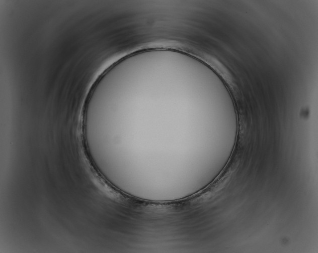 X0000100781044200807171438