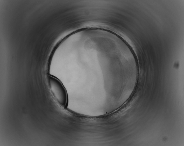 X0000100781045200807171438