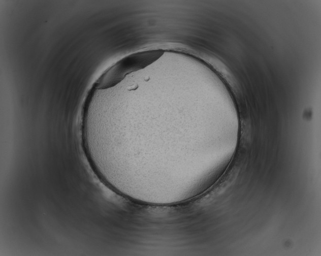 X0000100781046200807171438