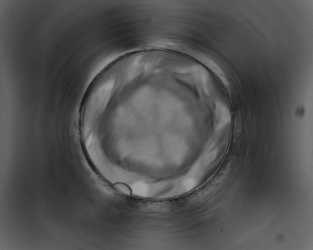 X0000100781047200807171438