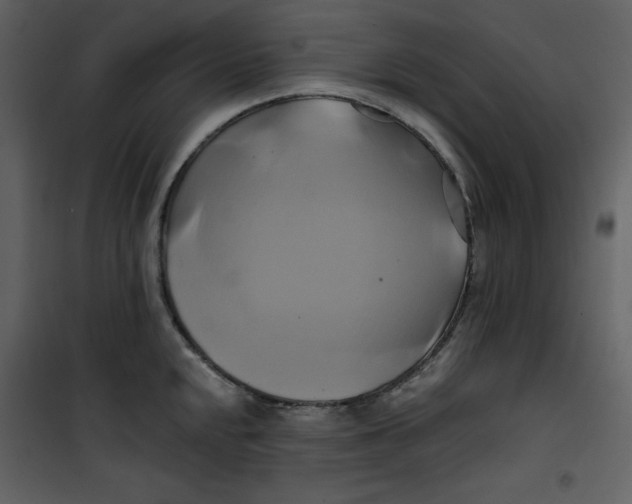 X0000100781048200807171438