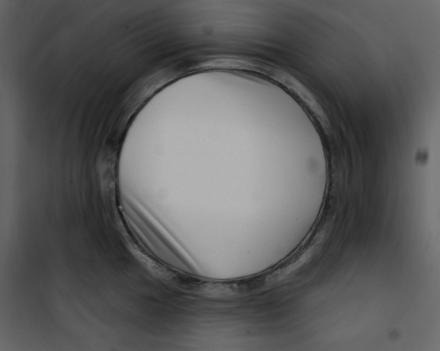 X0000100781049200807171438