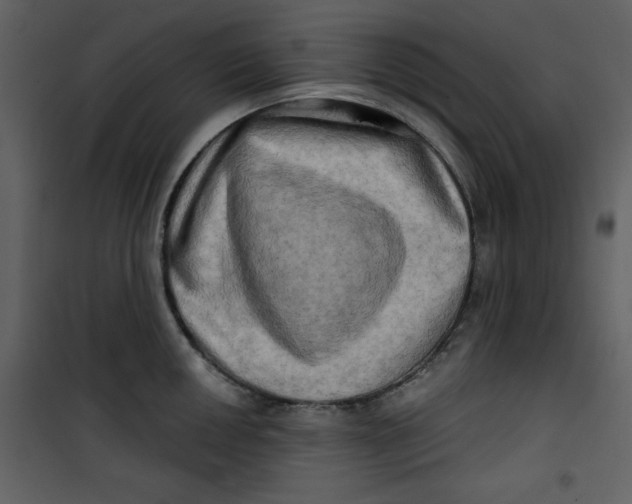 X0000100781050200807171438