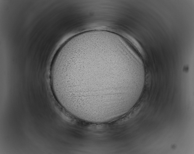 X0000100781051200807171438