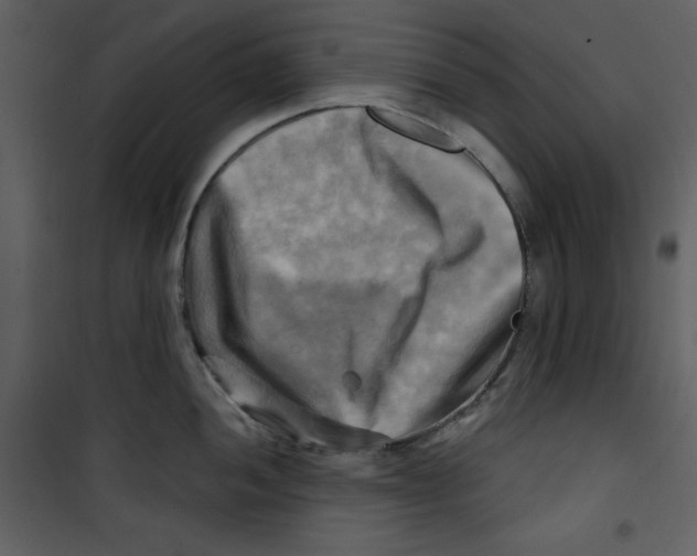 X0000100781052200807171438