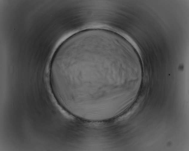 X0000100781053200807171438