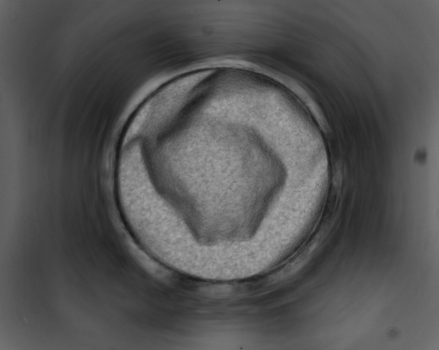 X0000100781054200807171438
