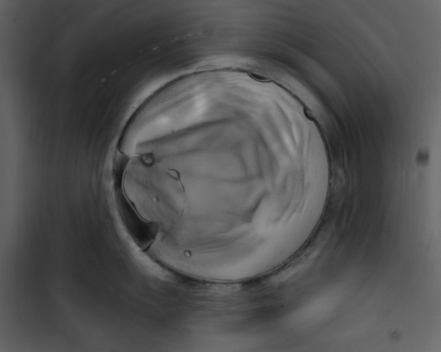 X0000100781055200807171438