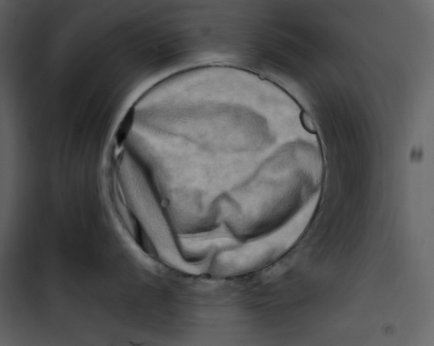 X0000100781056200807171438