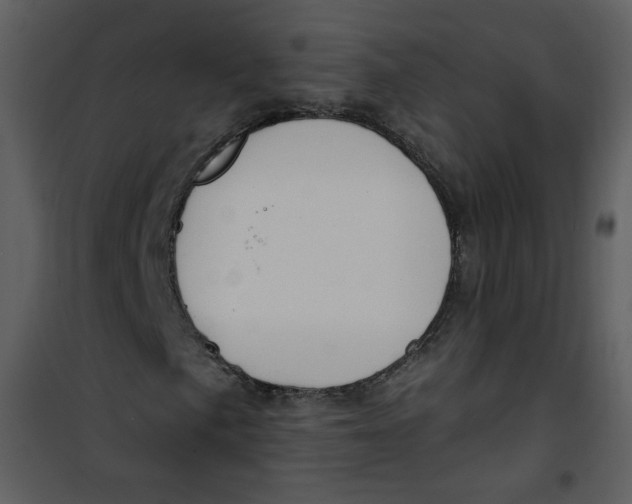 X0000100781057200807171437