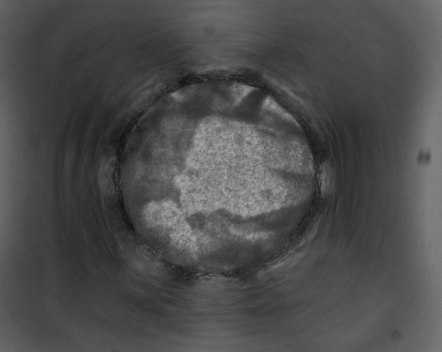 X0000100781059200807171437