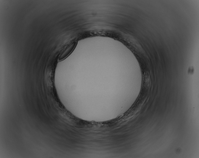 X0000100781060200807171437