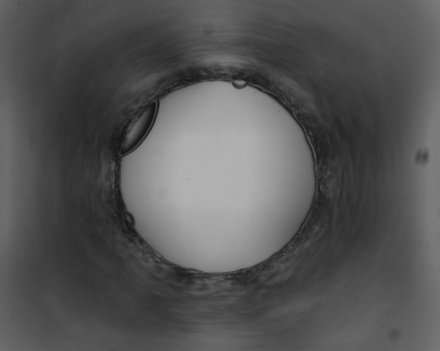 X0000100781061200807171437