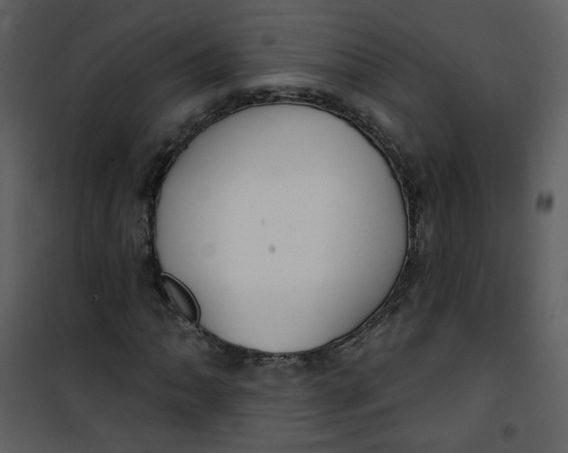 X0000100781062200807171437