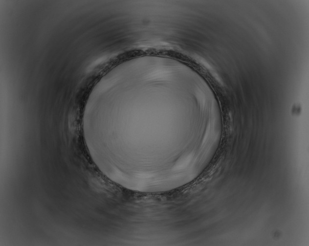 X0000100781063200807171437