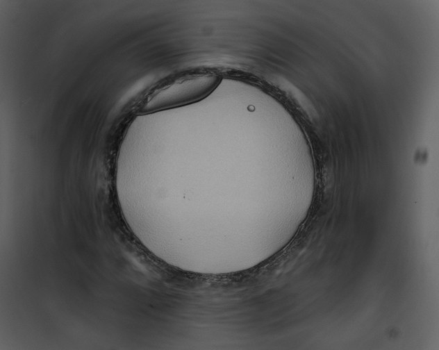 X0000100781064200807171437