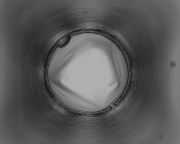 X0000100781065200807171437