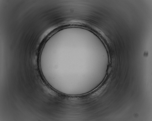 X0000100781066200807171437