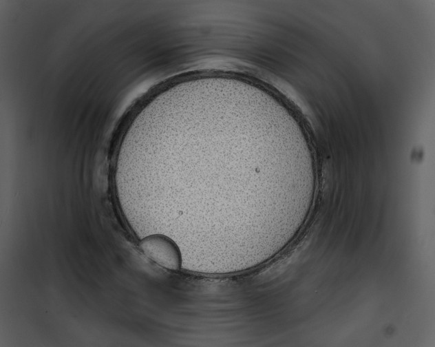 X0000100781067200807171437