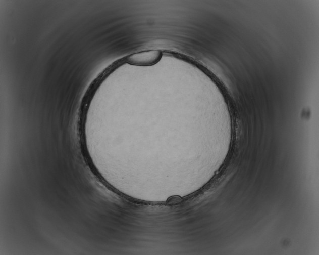 X0000100781068200807171437