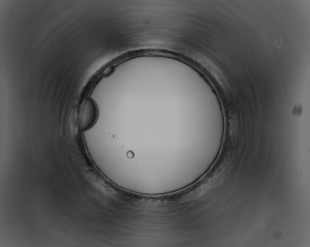 X0000100781069200807171437