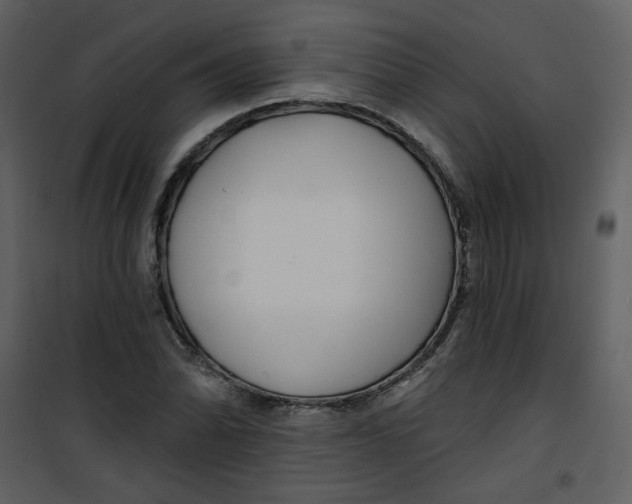 X0000100781070200807171437