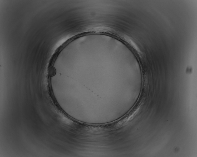 X0000100781071200807171437