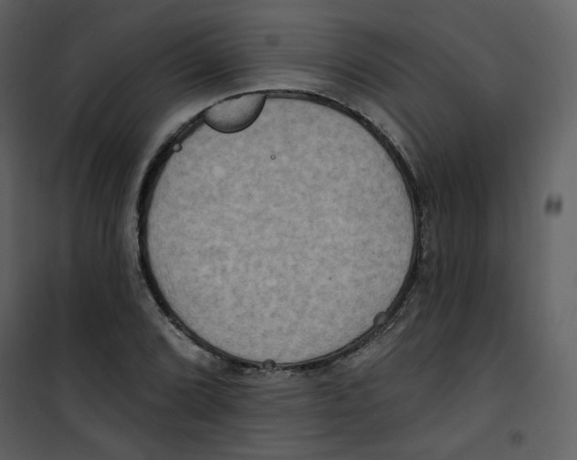 X0000100781072200807171437