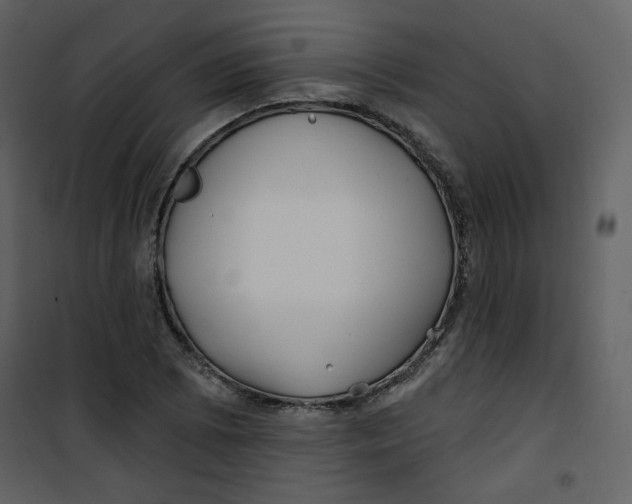 X0000100781073200807171437