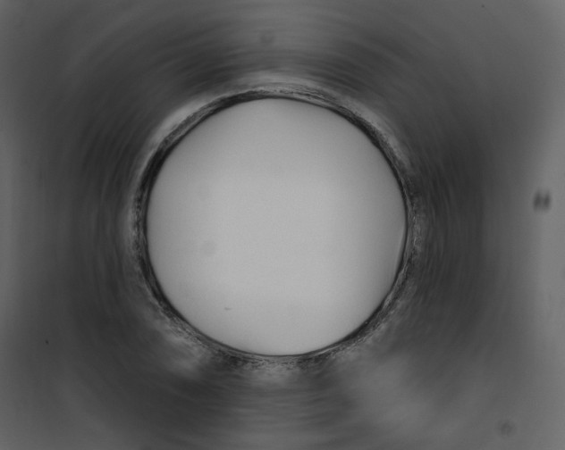 X0000100781074200807171437