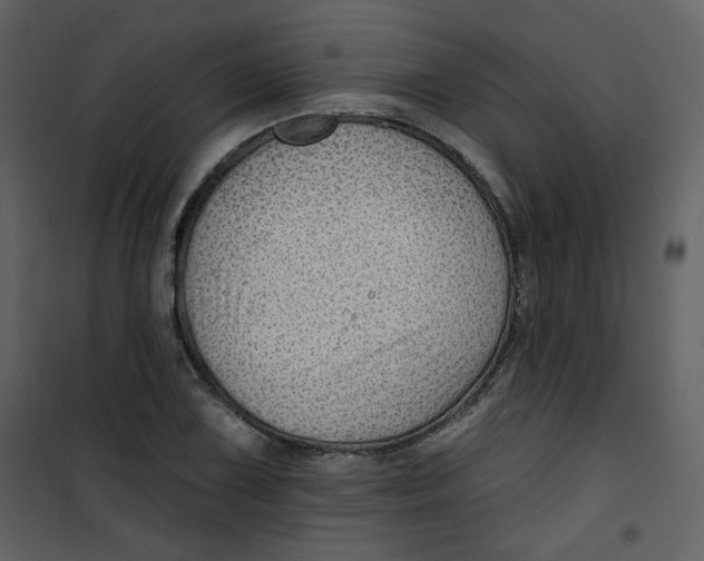 X0000100781075200807171437