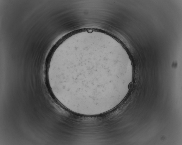 X0000100781076200807171437