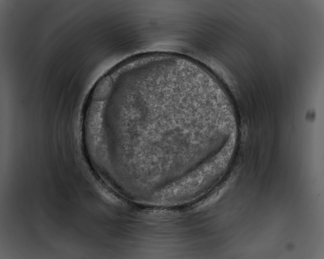 X0000100781077200807171437