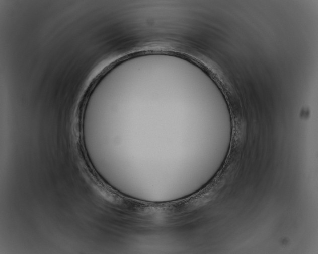 X0000100781078200807171437
