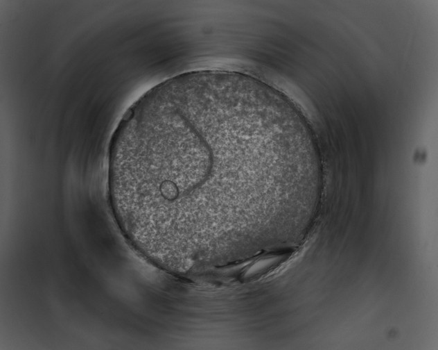 X0000100781079200807171437