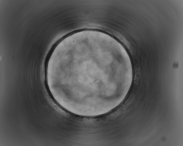 X0000100781080200807171437