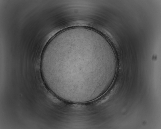X0000100781081200807171437