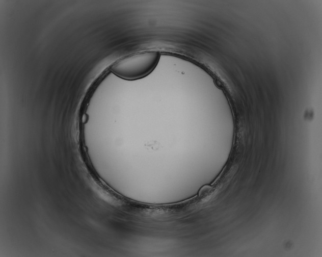 X0000100781082200807171437