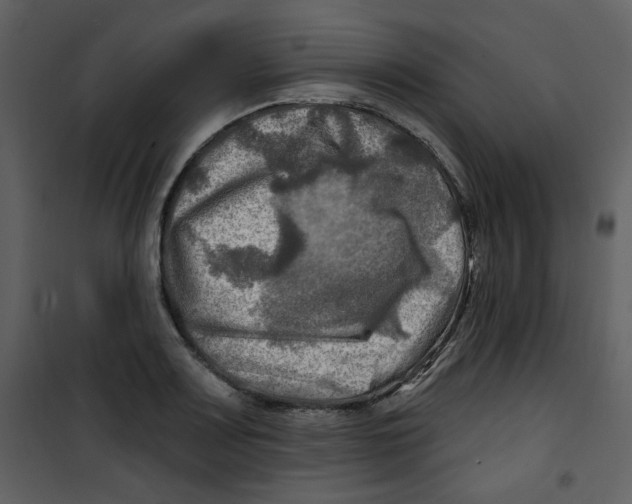 X0000100781083200807171437