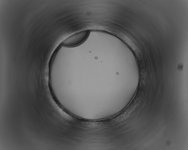 X0000100781084200807171437