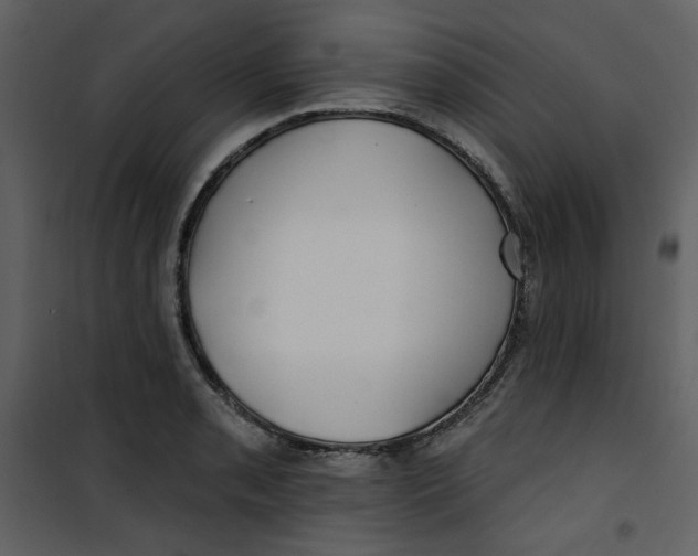 X0000100781085200807171437