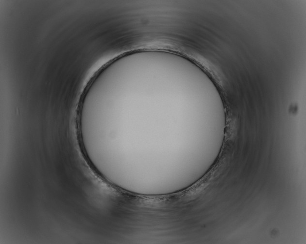 X0000100781086200807171437