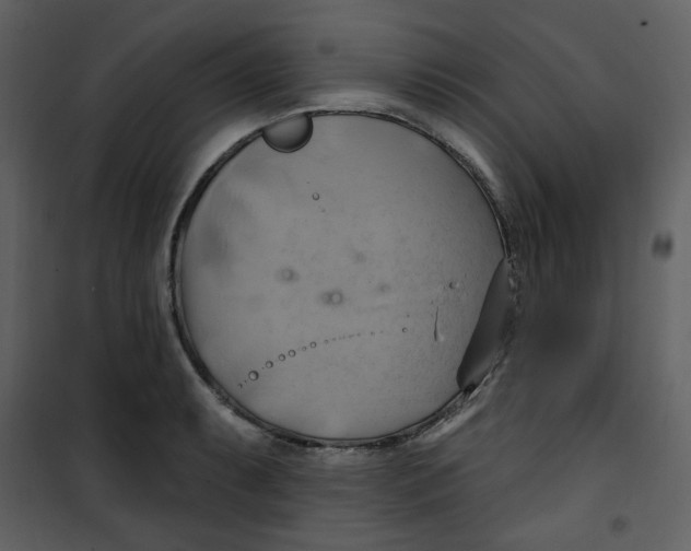 X0000100781087200807171437