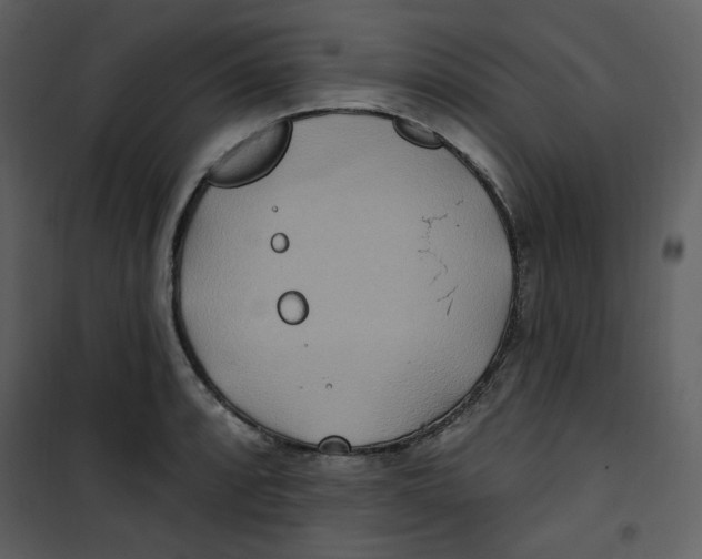 X0000100781088200807171437