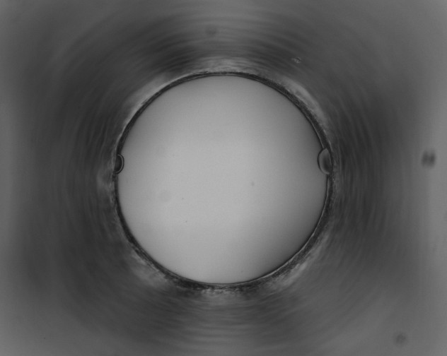 X0000100781089200807171437