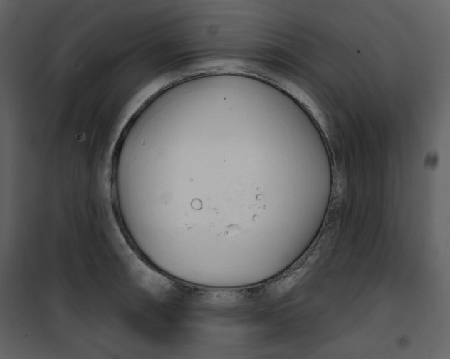 X0000100781090200807171437